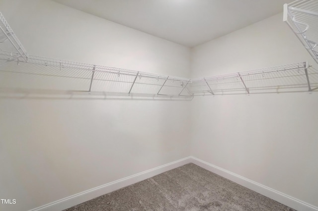 spacious closet with carpet flooring