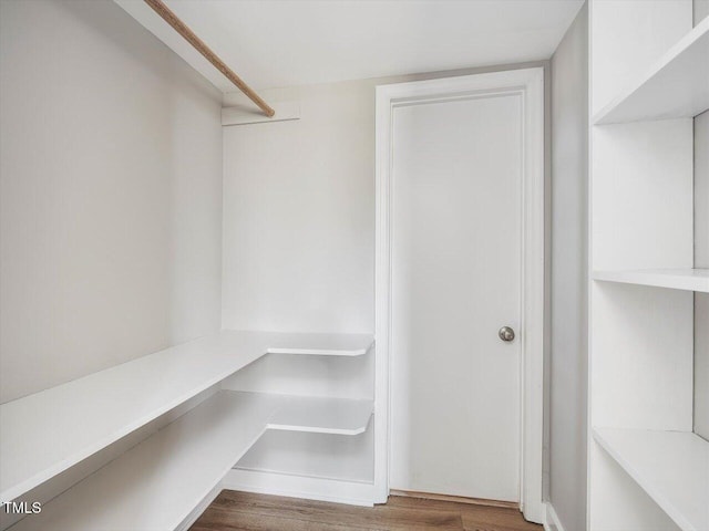 walk in closet featuring wood finished floors