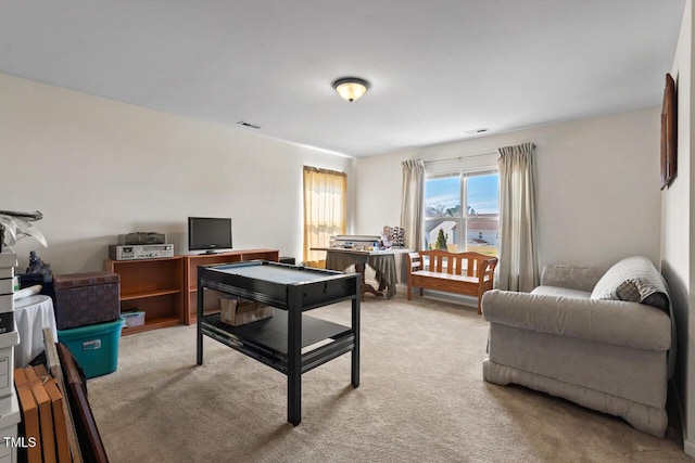 office featuring light colored carpet and visible vents