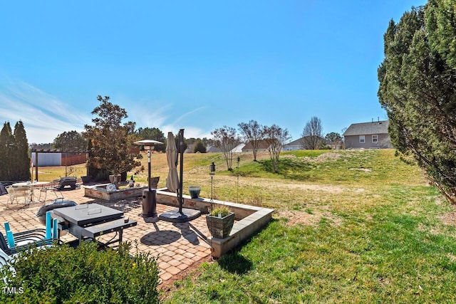 view of yard with a vegetable garden and a patio