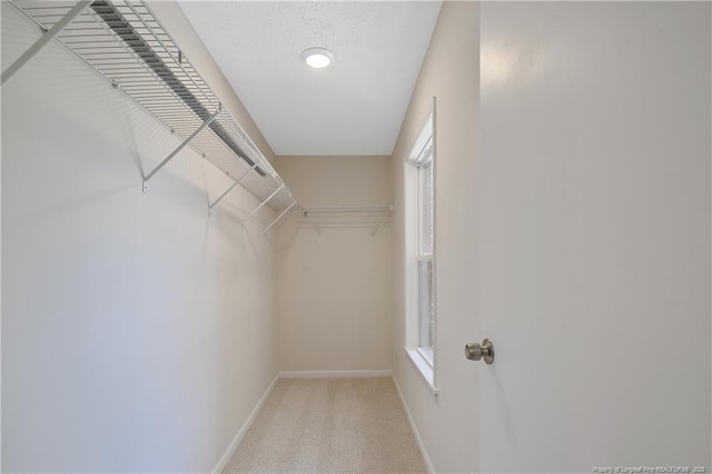 spacious closet with light carpet