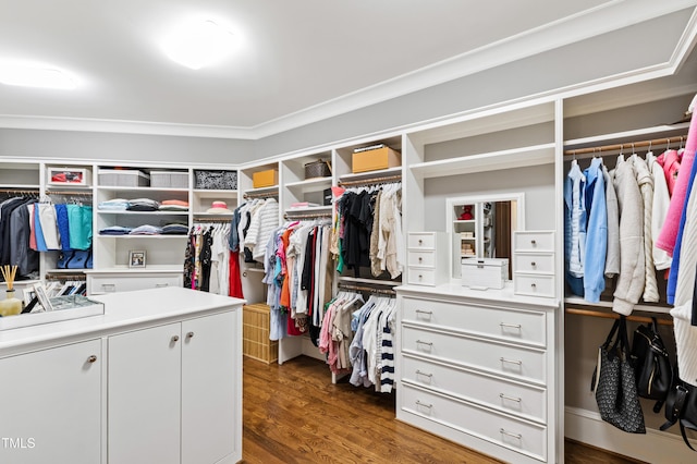 walk in closet with dark wood-type flooring