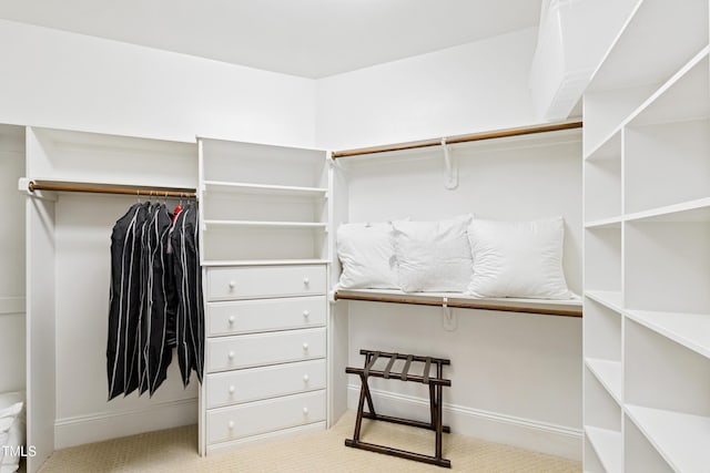 walk in closet with carpet floors