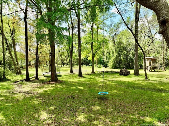 1855 Riverside Blvd, Lumberton, NC 28358 - view of green lawn