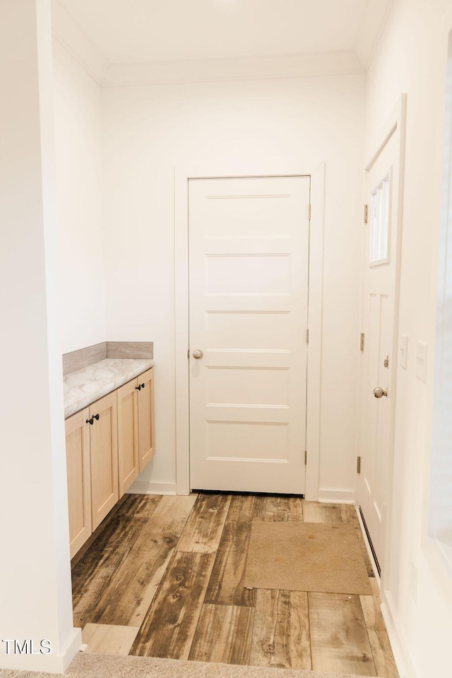 interior space featuring light wood-style flooring and crown molding