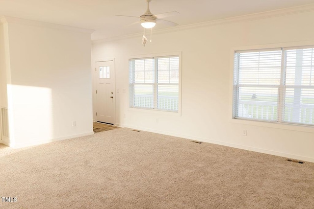 unfurnished room with a ceiling fan, carpet, visible vents, and crown molding