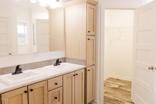 bathroom featuring double vanity, wood finished floors, a spacious closet, and a sink