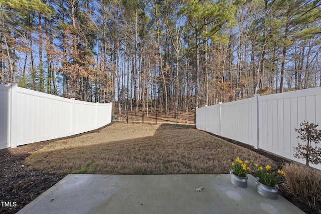 view of yard featuring a fenced backyard and a patio