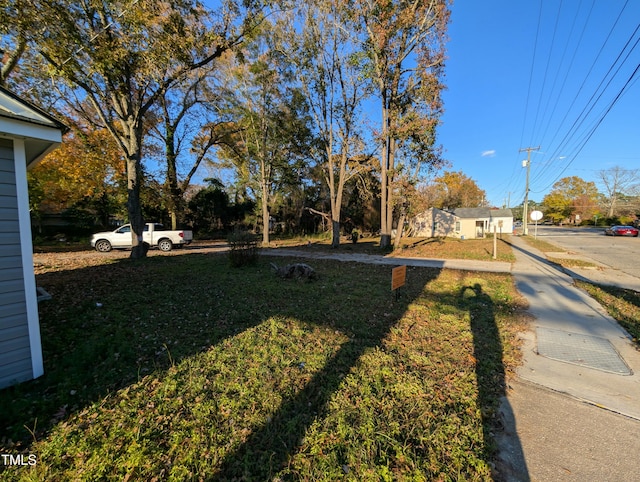 view of yard