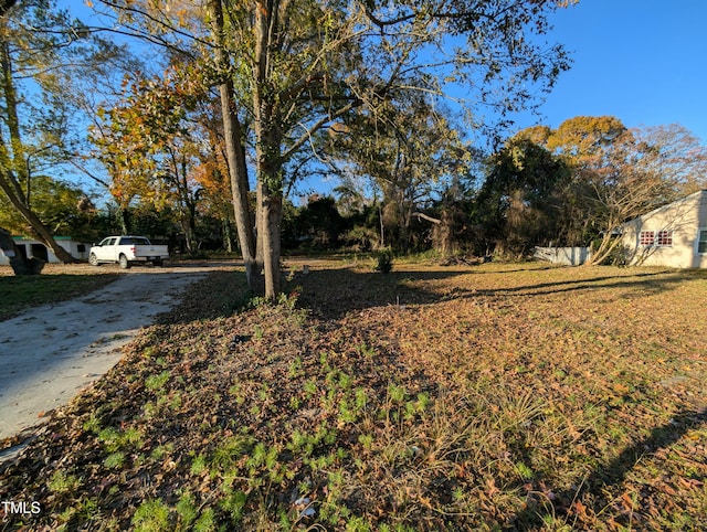 view of yard with driveway