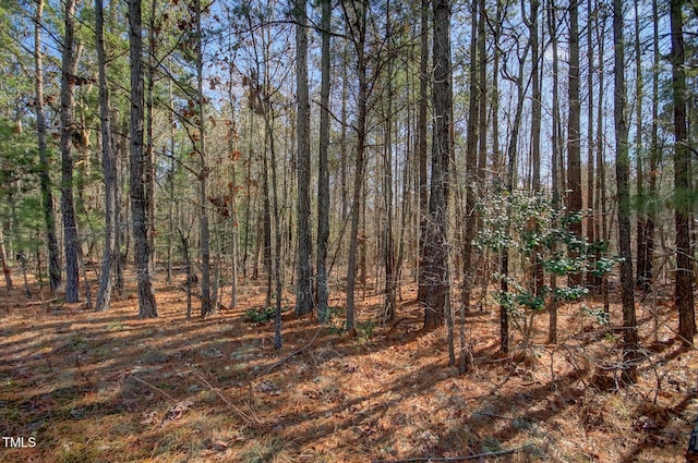 Listing photo 3 for 00 Bowman Bare Rd, Pittsboro NC 27312