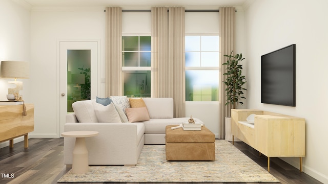 living area featuring baseboards, dark wood-style flooring, and ornamental molding