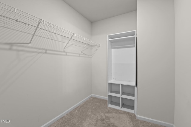 walk in closet with carpet floors