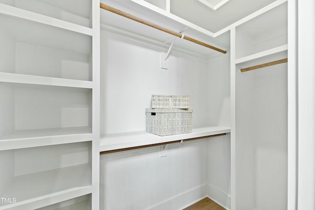 view of spacious closet