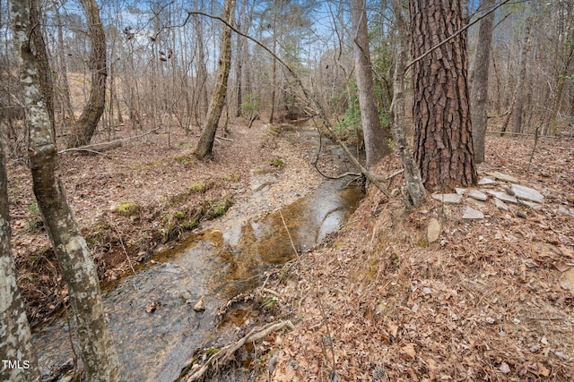 view of landscape featuring a view of trees