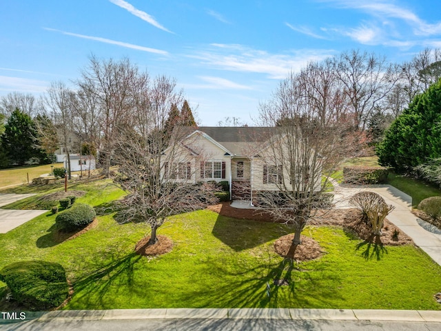 view of front of home with stone siding and a front lawn