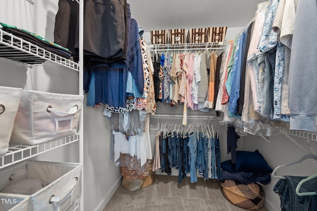 walk in closet with carpet flooring