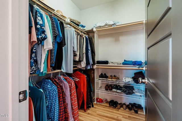 spacious closet featuring wood finished floors