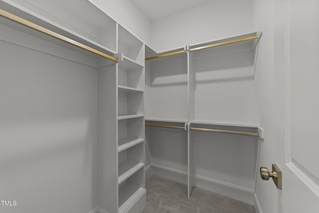 walk in closet featuring carpet