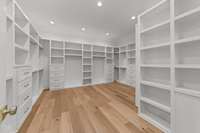 walk in closet featuring light wood-style floors