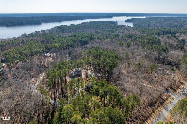 bird's eye view featuring a water view and a wooded view