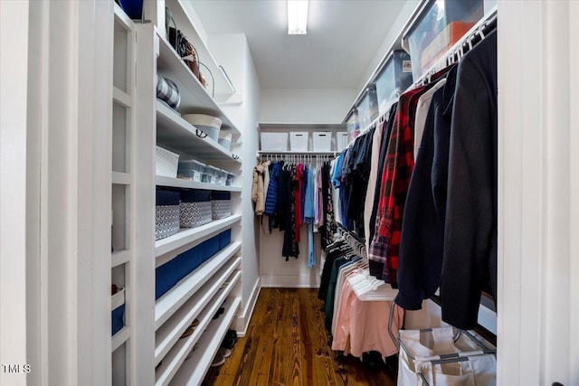 spacious closet featuring wood finished floors