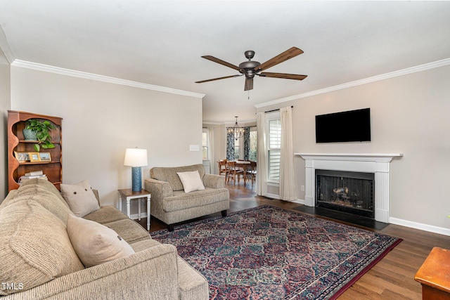 living area with ornamental molding, a fireplace with flush hearth, wood finished floors, baseboards, and ceiling fan with notable chandelier