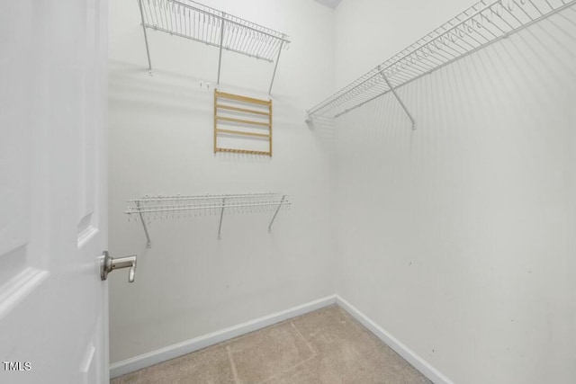 walk in closet featuring carpet flooring