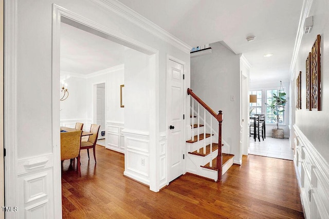 stairway with crown molding, a decorative wall, wood finished floors, and a wainscoted wall