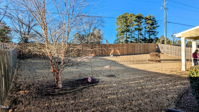 view of yard with a fenced backyard