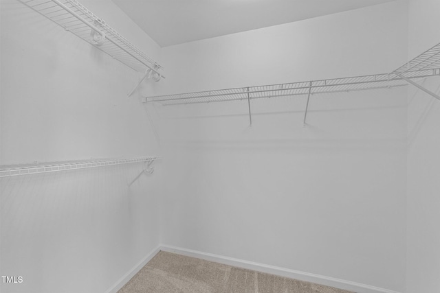 walk in closet featuring light colored carpet