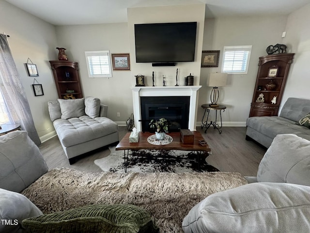 living room featuring a glass covered fireplace, wood finished floors, and a wealth of natural light