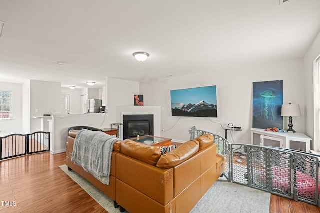 living area featuring a glass covered fireplace, baseboards, and wood finished floors