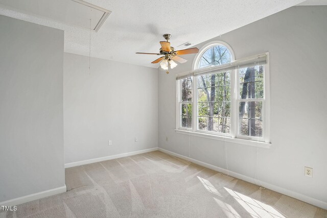 167 Coachmans Cove Rd, Four Oaks, NC 27524 - photo 22