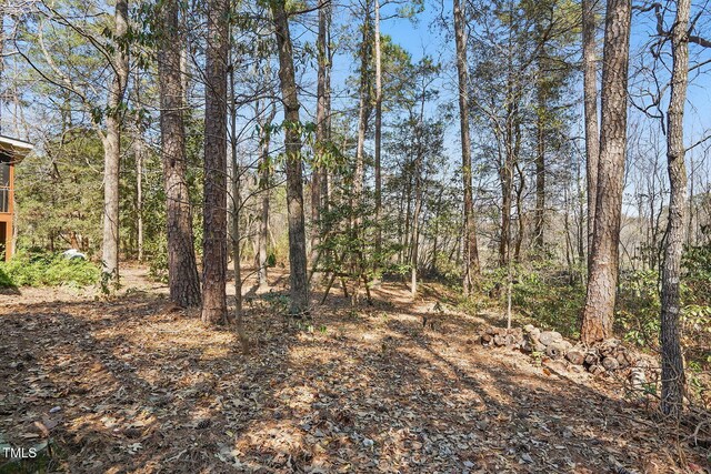 167 Coachmans Cove Rd, Four Oaks, NC 27524 - photo 33