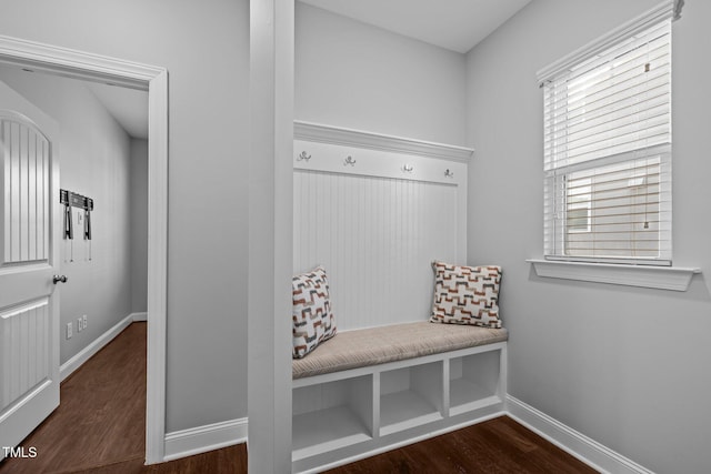 mudroom featuring dark wood-type flooring, baseboards, and a wealth of natural light