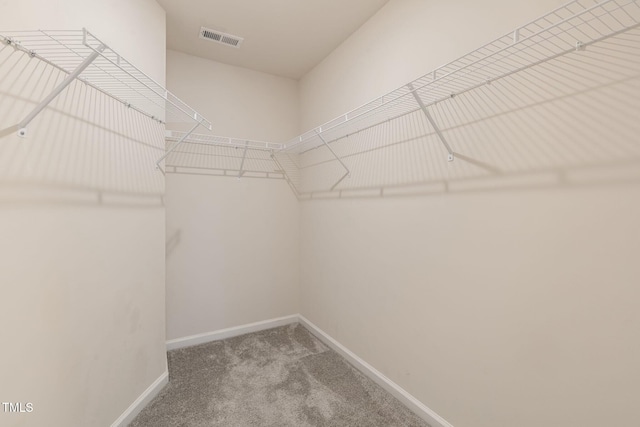 spacious closet featuring carpet flooring and visible vents