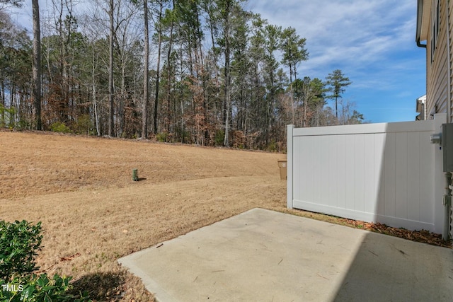 view of yard with a patio