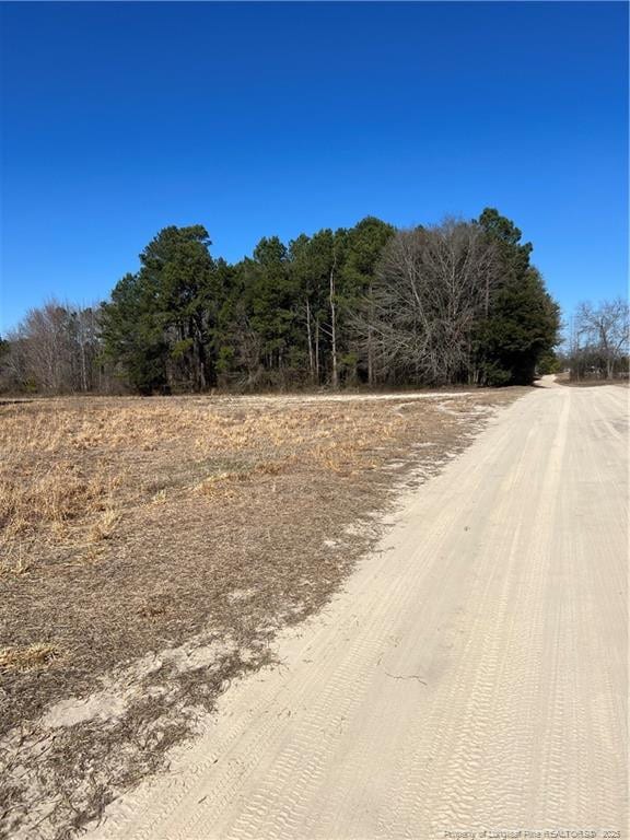 Woodys Farm Rd, Lumberton NC, 28360 land for sale