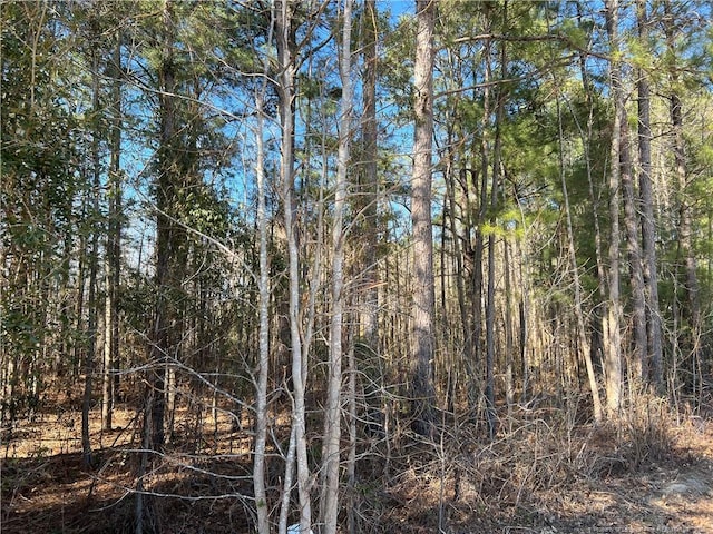 Listing photo 2 for Woodys Farm Rd, Lumberton NC 28360