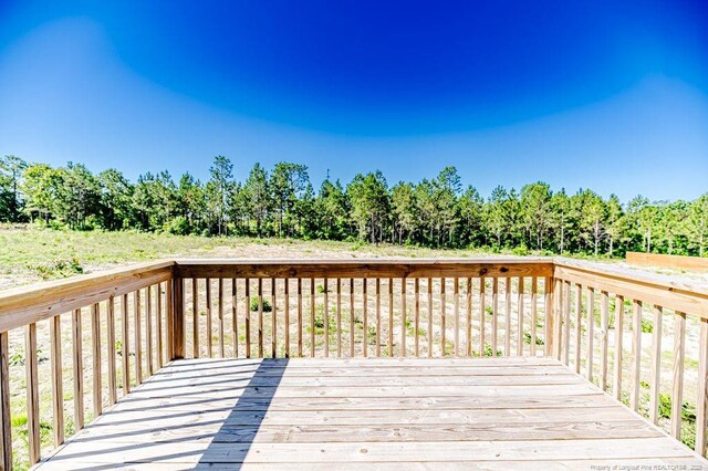 932 Allstar Ave, Cameron, NC 28326 - photo 30