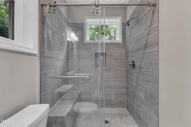 bathroom featuring toilet and a shower stall