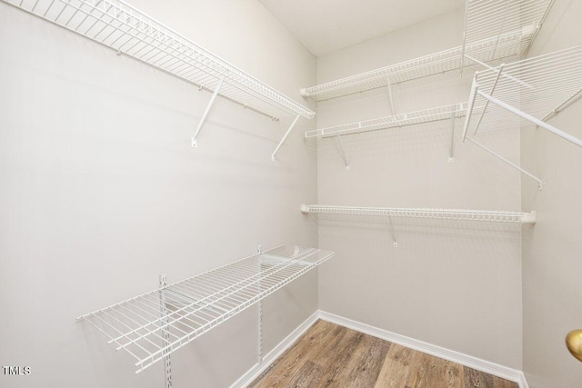 spacious closet with wood finished floors