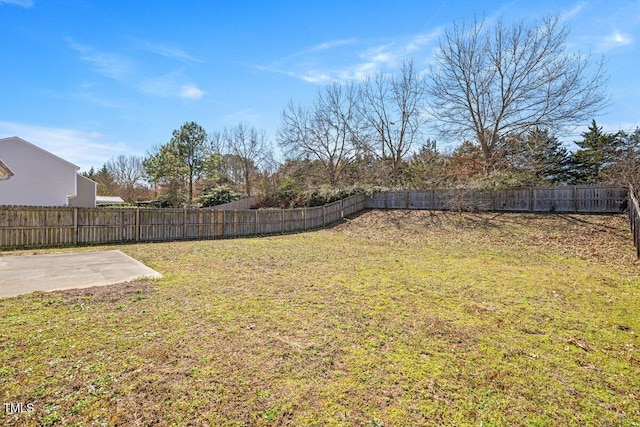 view of yard with a patio area and a fenced backyard