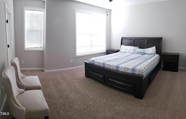 bedroom with multiple windows, carpet, and baseboards