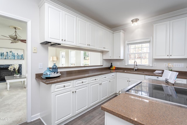 kitchen featuring ceiling fan, ornamental molding, wood finished floors, white cabinetry, and a sink