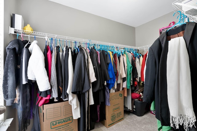 walk in closet with carpet