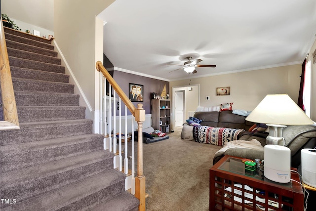 living area with stairway, a ceiling fan, ornamental molding, and carpet flooring