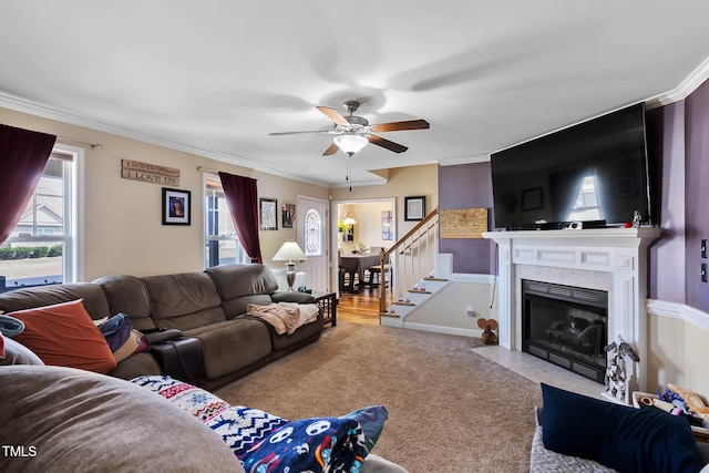 carpeted living area featuring stairway, crown molding, a premium fireplace, baseboards, and ceiling fan