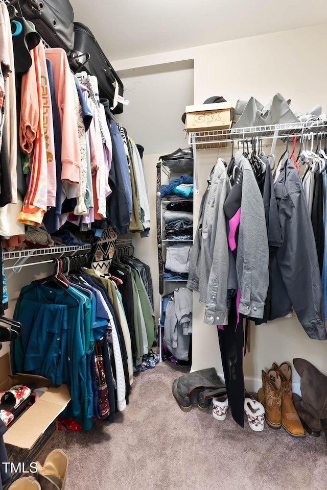 spacious closet with carpet floors